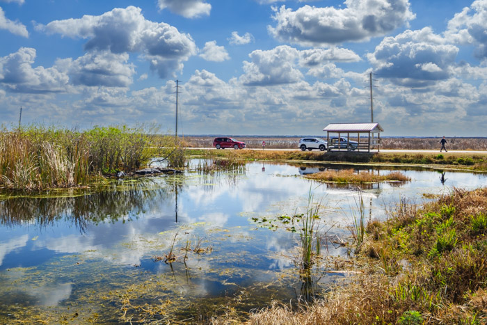 Apopka Wildlife Drive Oneway Road